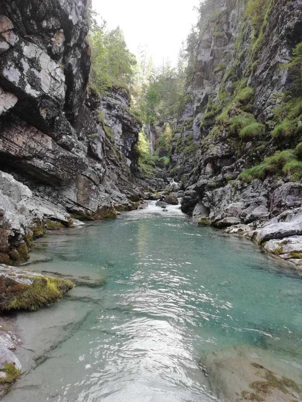 Gaestehaus Alpenblick Berwang Dış mekan fotoğraf