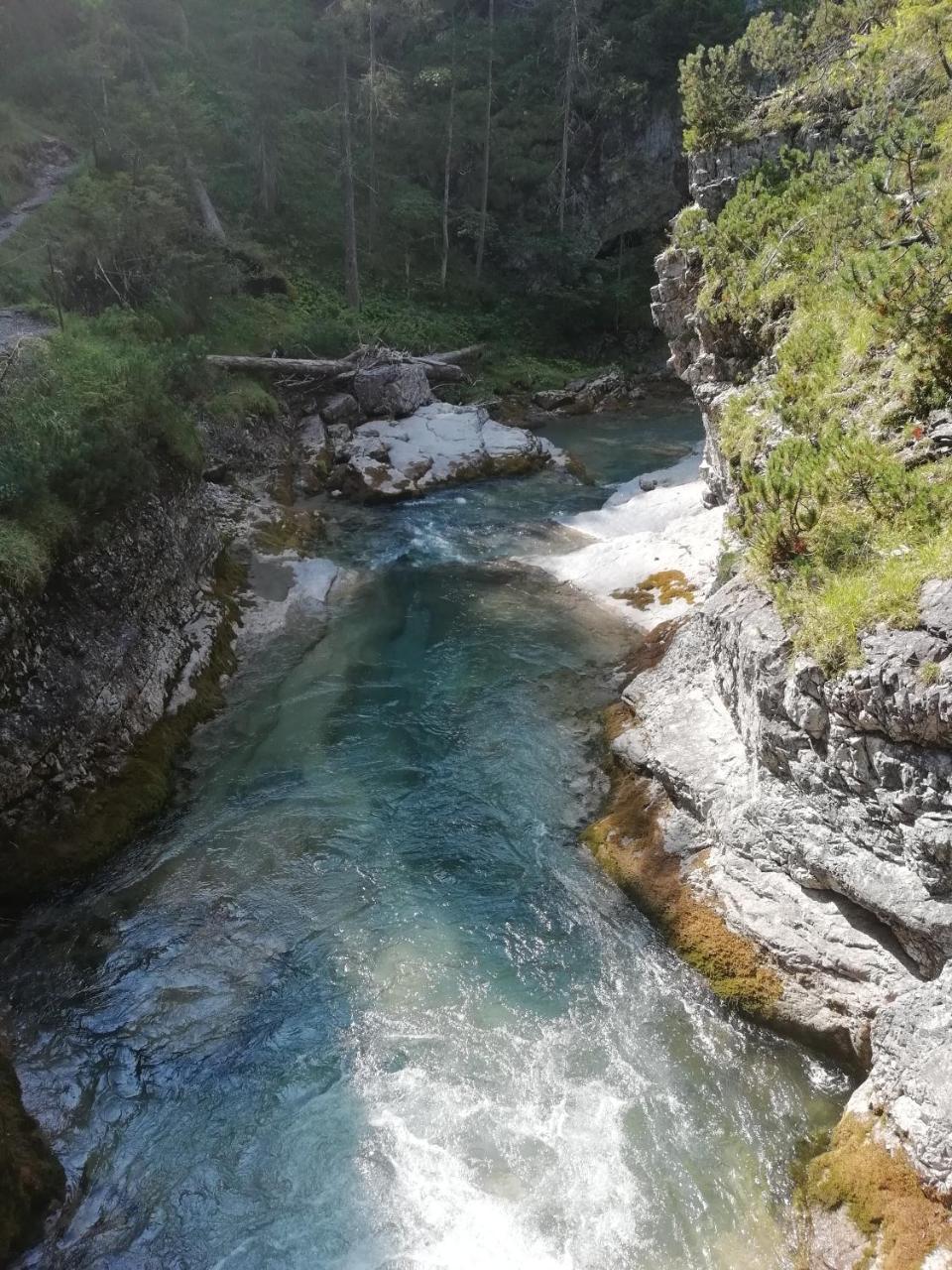 Gaestehaus Alpenblick Berwang Dış mekan fotoğraf